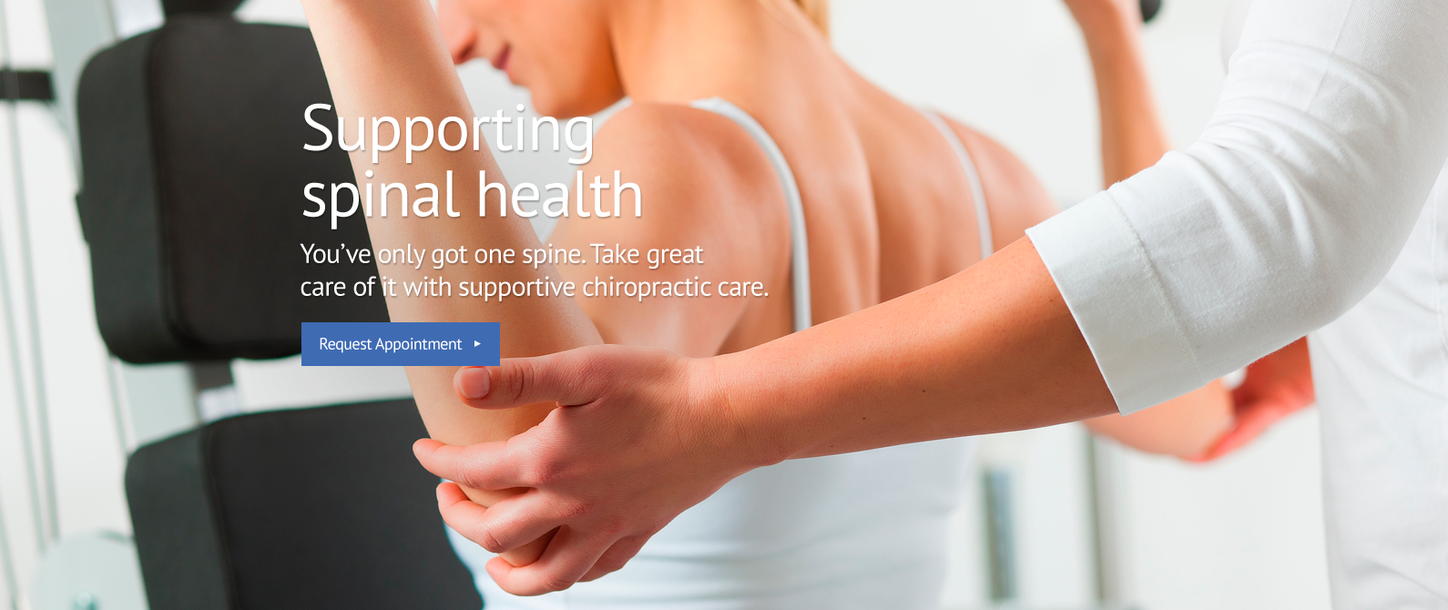 S15-Chiro-Banner-Master02